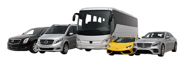 Vehicle Types