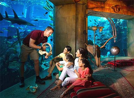 The Lost Chambers Aquarium Tour (Half Day)