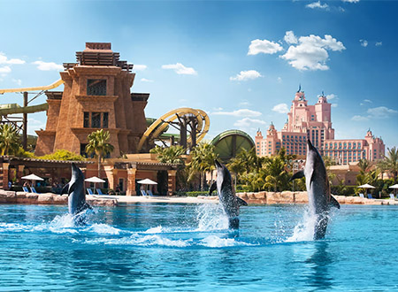 Dolphin Bay at Aquaventure World Tour (Half Day)
