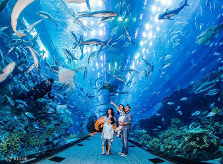 Dubai Aquarium & Underwater Zoo Tour (Half Day)
